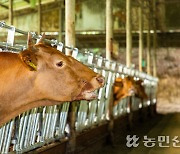 폭염 위기경보 ‘경계’로 하향…중대본 해제