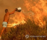 PORTUGAL FOREST FIRE ODEMIRA