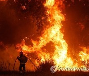 PORTUGAL FOREST FIRE ODEMIRA