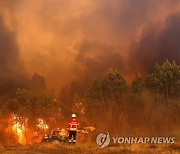 PORTUGAL FOREST FIRE ODEMIRA