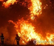 PORTUGAL FOREST FIRE ODEMIRA