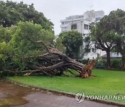 태풍 '카눈' 일본 규슈 접근…최대 400㎜ 폭우 예상(종합)