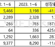 현대차, 상반기 글로벌 수소차 점유율 38.6%로 ‘1위’