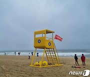 입수 금지된 경포해수욕장