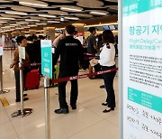 제주행 비행기 결항 안내문 붙은 김포공항