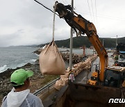 '태풍에 맞서다'