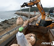 '태풍이 온다'