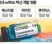 mRNA 백신 시판 앞둔 日…韓은 여전히 임상 1상 진행