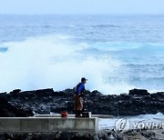 "날 막을 순 없어"…태풍에 낚시·서핑·수영이라니