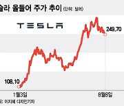 테슬라 250달러 붕괴…테슬람은 사이버트럭만 기다린다[오미주]