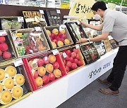 ‘추석 성수품’ 사과·배, 올해 비쌀듯…농식품부 "수급안정에 총력"