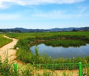 농지법 위반 혐의로 농식품로부터 고발당한 무안군 '왜'