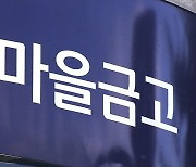 새마을금고 사법리스크는 '여전'…정부 '비상경영관리위' 검토