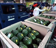 엄궁농산물도매시장, 사랑의 수박 나눔행사