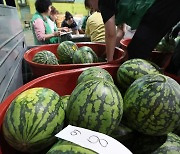 부산 엄궁농산물도매시장, 수박 700통 기부