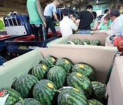 부산 엄궁농산물도매시장, 수박 700통 기부