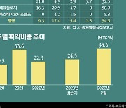 공모주 열기에 '락업' 걸고 물량받는 기관... 오버슈팅은 '머뭇'