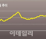 올 최대치 찍은 '빚투'…금감원 "빚투 유도 증권사 점검"