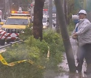 카눈 '스쳐 간' 일본, 7호 태풍 상륙 앞두고 여전히 '긴장'