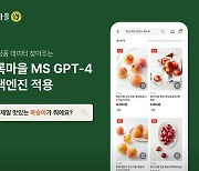 초록마을, AI가 상품 찾아준다…마이크로소프트 GPT-4 검색엔진 장착