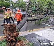 전국 할퀸 '카눈' 실종·침수 피해 속출…1만5411명 '일시대피'(종합)