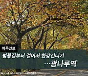 [하루만보]벚꽃길부터 걸어서 한강건너기…광나루역