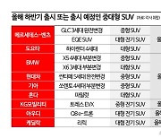 "아빠 차 뽑았다"…국내 패밀리카 시장 지각변동