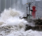 15시간의 악몽… 카눈, 한반도 할퀴며 '수직 관통' [태풍 카눈 '한반도 관통']