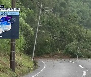 [특보] 일본 규슈에 1000mm 폭우 뿌린 ‘카눈’…제7호 태풍 ‘란’ 접근