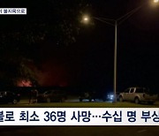 "지상 낙원이 불지옥으로"…하와이 최악 산불에 36명 사망