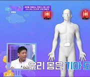 저칼로리 소주, 다이어트 도움 될까?..."대체감미료 오히려 비만 유발"(몸신2)[종합]