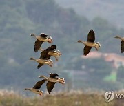 동물의 성적 다양성 담은 백과사전…'생물학적 풍요'