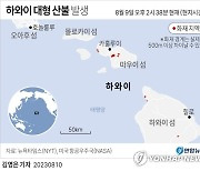 [그래픽] 하와이 대형 산불 발생