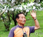 태풍에 낙과 피해 호소하는 농민