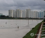 불어난 물에 잠긴 형산강 둔치