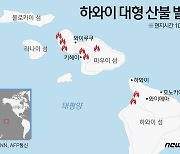 [그래픽] 하와이 대형 산불 발생