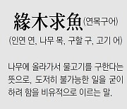 [신문과 놀자!/풀어쓰는 한자성어]緣木求魚(연목구어) (인연 연, 나무 목, 구할 구, 고기 어)