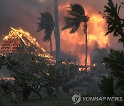 하와이 대형 산불로 최소 53명 사망..불탄 건물 1700여채