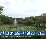 울산 오늘 낮 최고 31.6도…내일 23~31도