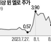 30% 뛰다 다음 날 40% 급락…美 '파산주'에 몰리는 개미