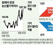 폭우 이어 태풍…대파·오이·부추 올라