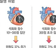 심장 관상동맥의 석회화, 신장에도 악영향