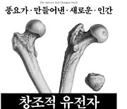 인류 역사 하나하나 되짚으며 ‘변화 중인 종’ 인간을 풀어내다[책과 삶]