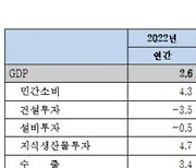 “올해 경제성장률 1.3% 전망…내수·수출 동반 부진”