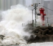 전국 학교 1579곳 학사 일정 조정…  877곳 원격수업, 475곳 개학 연기