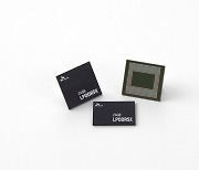 SK하이닉스, 세계 최고 용량 LPDDR5X D램 양산