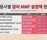 "달러 예금보다 쏠쏠"…달러 MMF, 법인자금 1조 '싹쓸이'