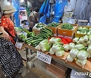 '고랭지 배추 세개 만원' 집중호우·폭염에 치솟는 채소값