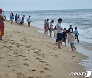 올 여름 동해안 해수욕장 500만명 '풍덩'…흐린 주말에도 '북적'(종합)