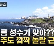 [자막뉴스] "지금 반 토막 났어요"...심상치 않은 제주도